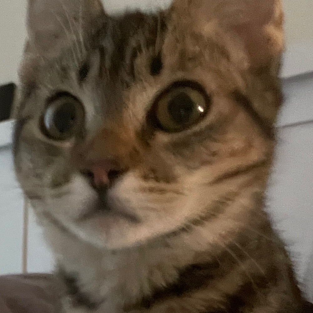 Meet your Posher, Pinkyminky